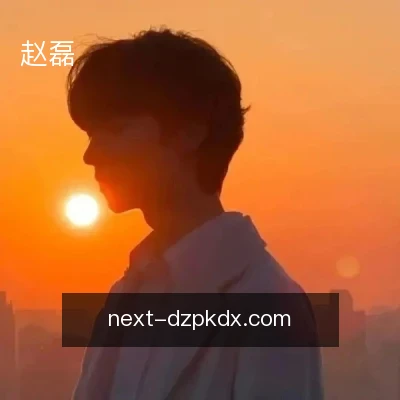 赵磊